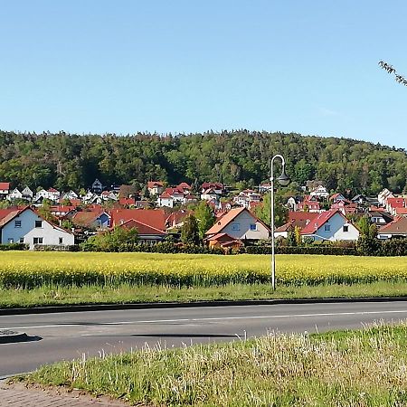 Ferienwohnung 40Qm Gernrode Gernrode  エクステリア 写真