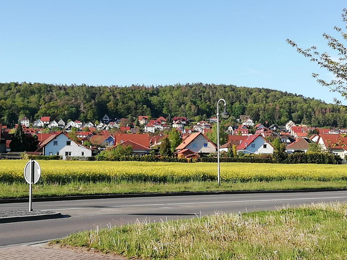 Ferienwohnung 40Qm Gernrode Gernrode  エクステリア 写真